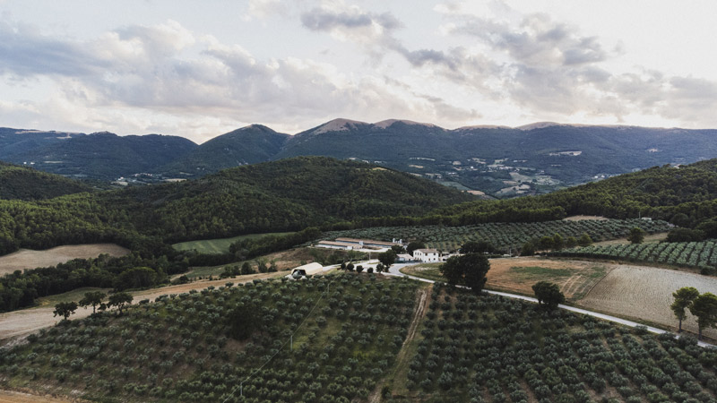 produzione1.jpg