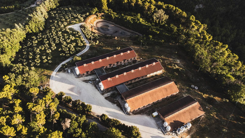 produzione1.jpg