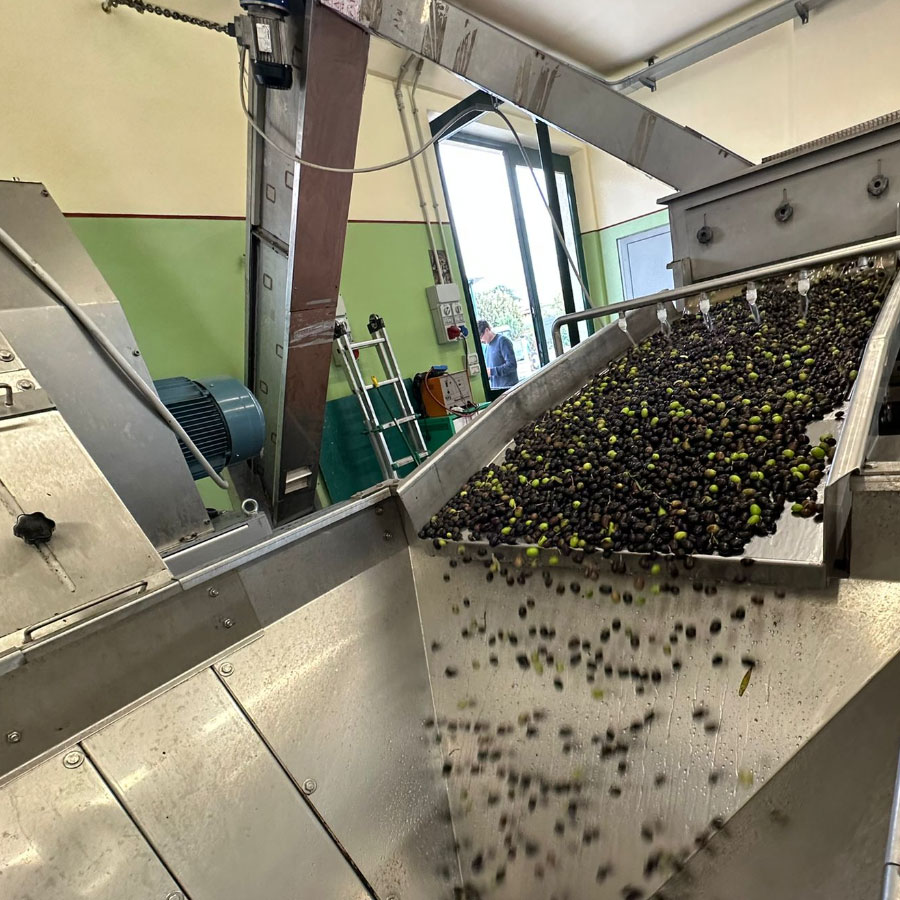 produzione1.jpg